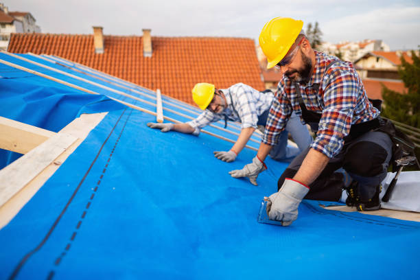 Quick and Trustworthy Emergency Roof Repair Services in Royalton, MN